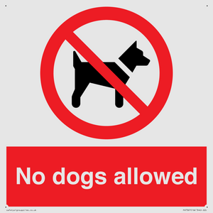 No dogs allowed